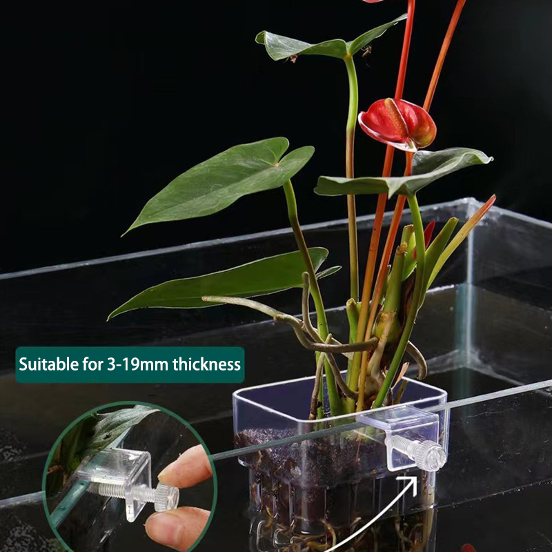 Aquarium For Planted Tank - Çok fonksiyonlu balık akvaryumu su çim