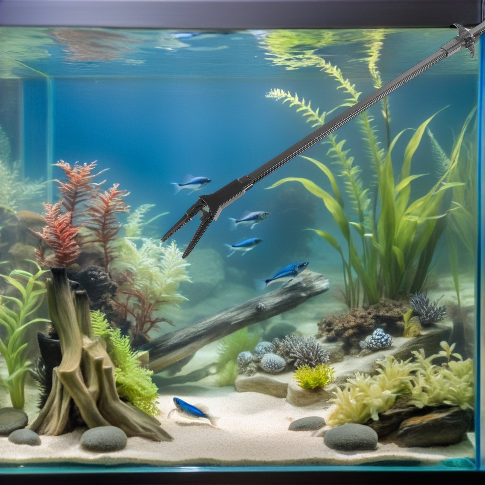 3 Adet Uzun Uçlu Akvaryum Cımb - Planted Aquarium Tips incelemesi ve fiyatı