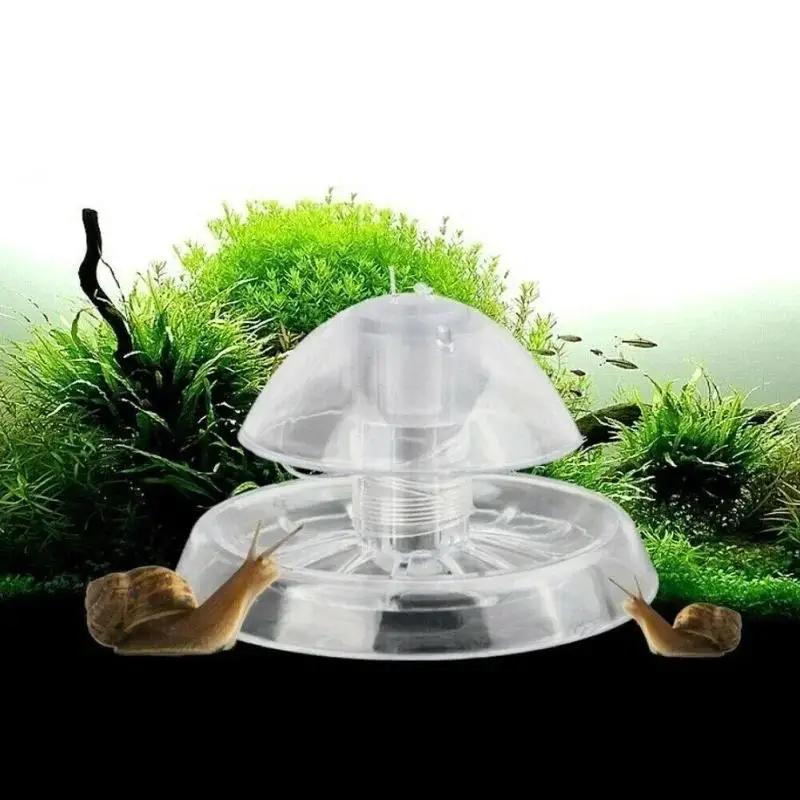 2026 Yeni 6/8CM Şeffaf Plastik - Aquarium For Planted Tank incelemesi ve fiyatı