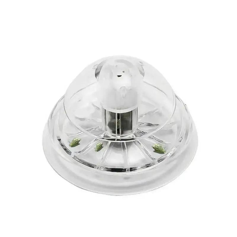 2026 Yeni 6/8CM Şeffaf Plastik - Aquarium For Planted Tank incelemesi ve fiyatı