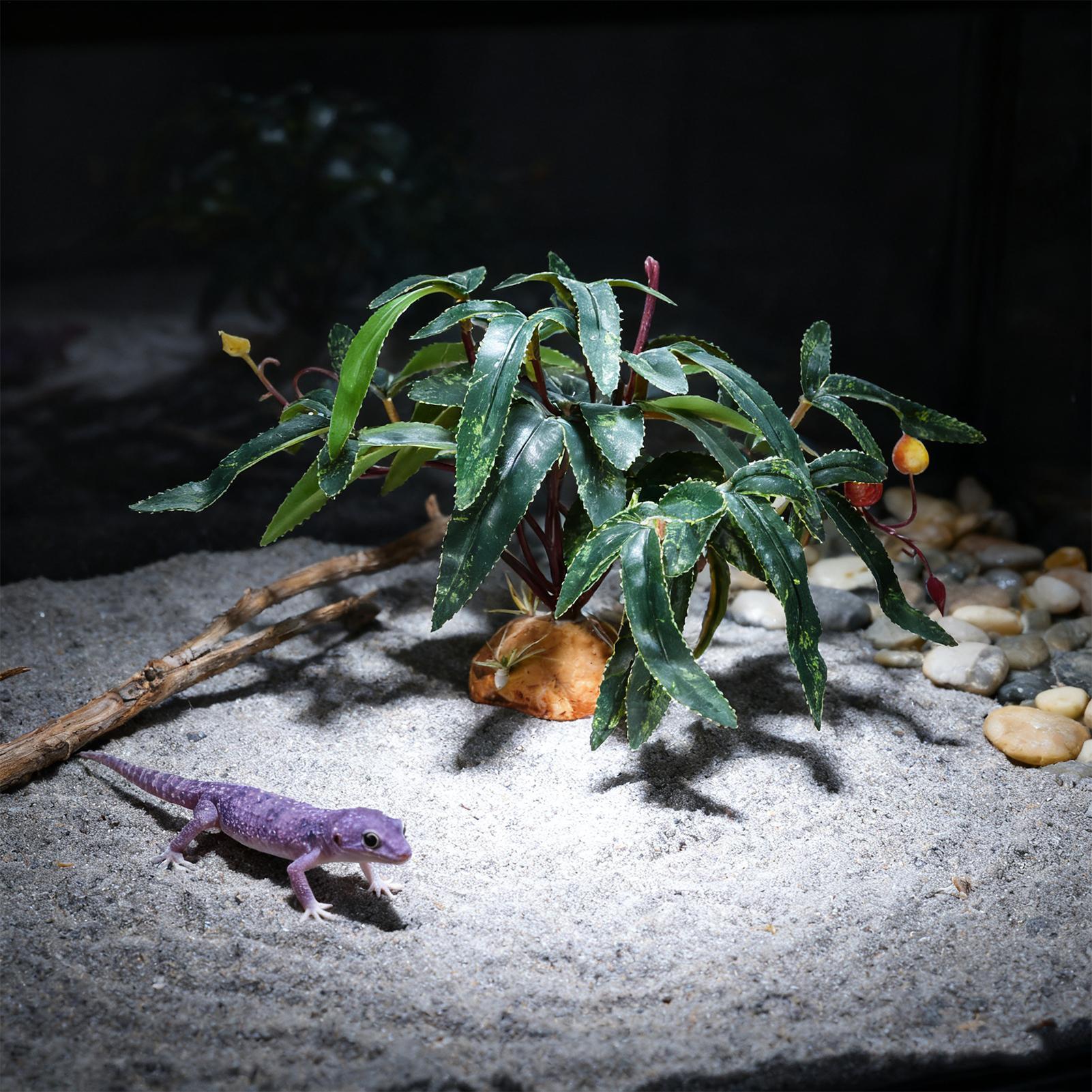Sahte Sürüngen Bitkileri Yılan - Aquarium For Planted Tank incelemesi ve fiyatı