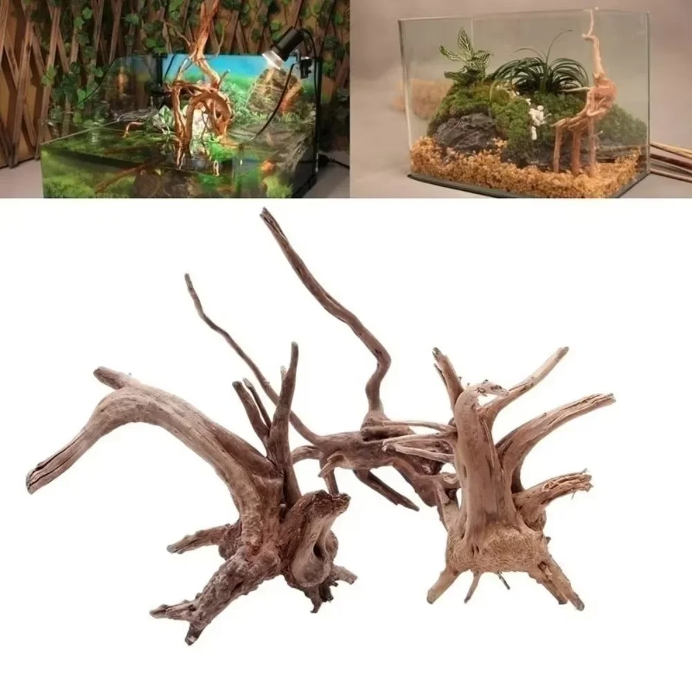 15-20CM Doğal Kök Ağacı Akvary - Aquarium Planting Ideas incelemesi ve fiyatı