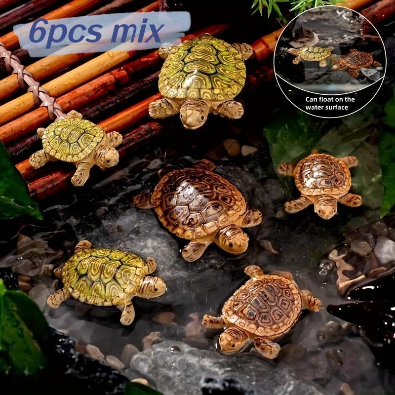 Akvaryum Dekorasyonu, Minyatür - Aquarium Planting Ideas incelemesi ve fiyatı