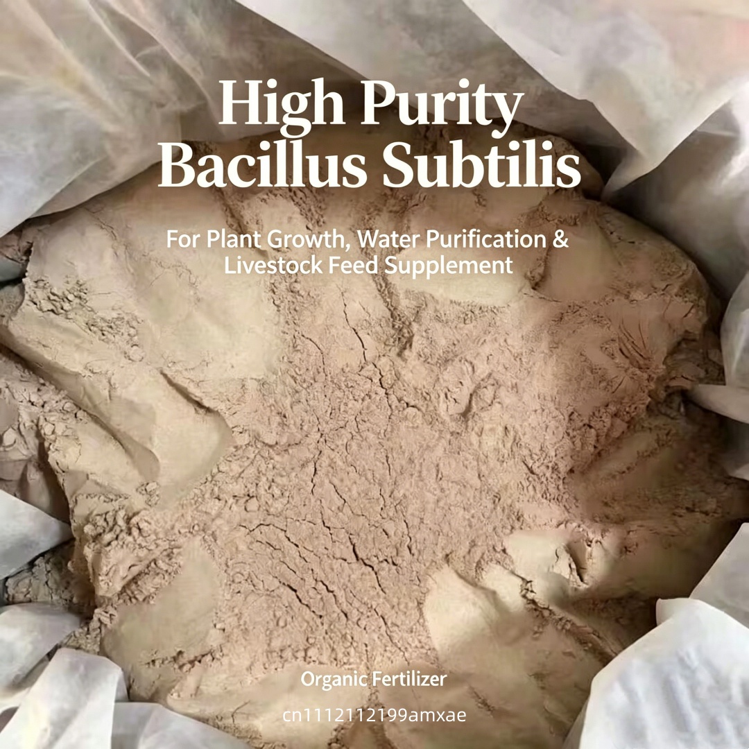 Yüksek Aktiviteli Bacillus Sub - Aquarium Plant Root Fertilizer incelemesi ve fiyatı
