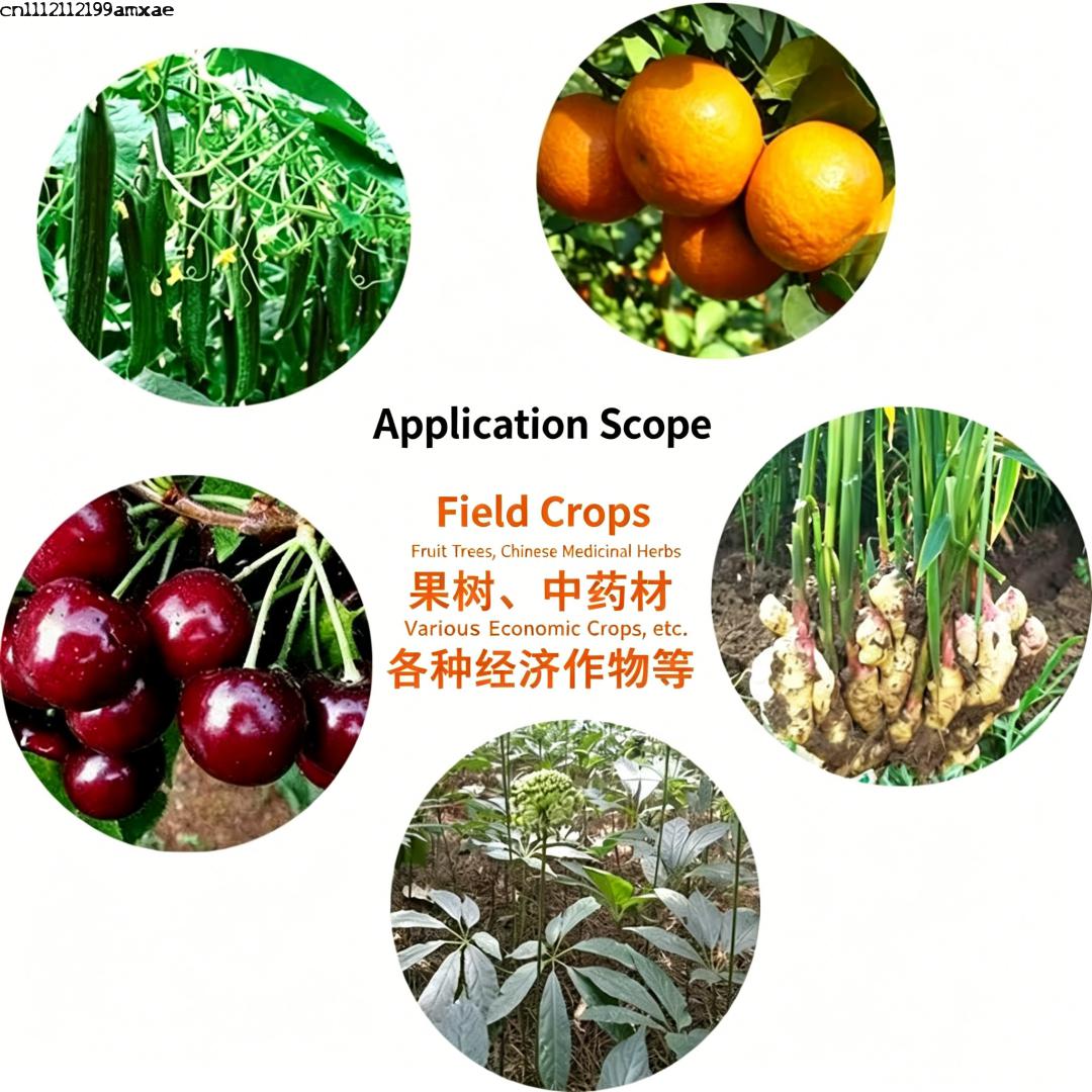 Yüksek Aktiviteli Bacillus Sub - Aquarium Plant Root Fertilizer incelemesi ve fiyatı