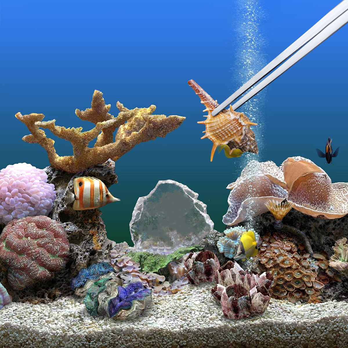 2 Adet 48Cm Paslanmaz Çelik Su - Planted Aquarium Tips incelemesi ve fiyatı