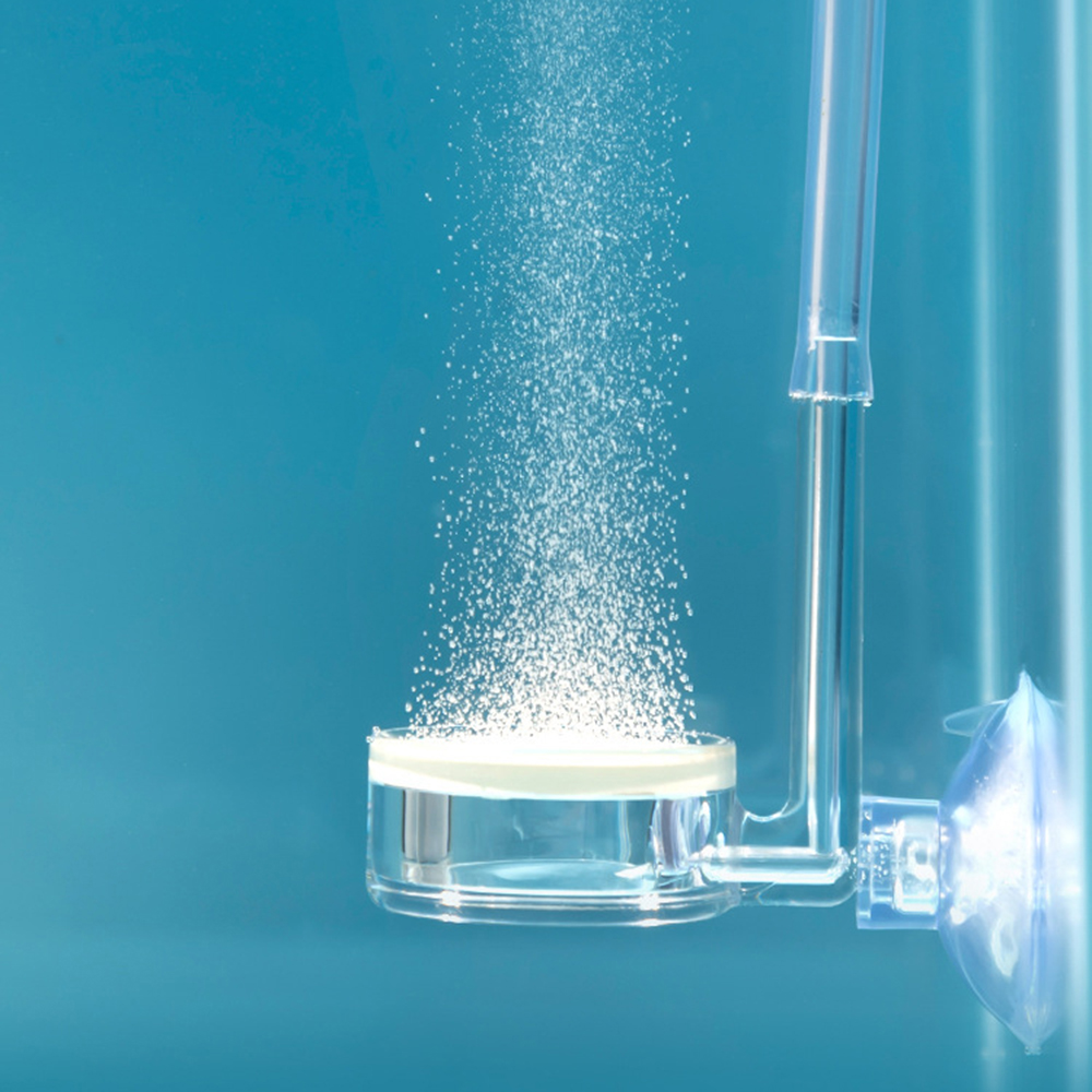 Akvaryum Bitkileri için 1PC Di - Glass Co2 Drop Checker incelemesi ve fiyatı