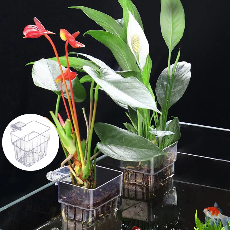 Çok fonksiyonlu balık akvaryum - Aquarium For Planted Tank incelemesi ve fiyatı