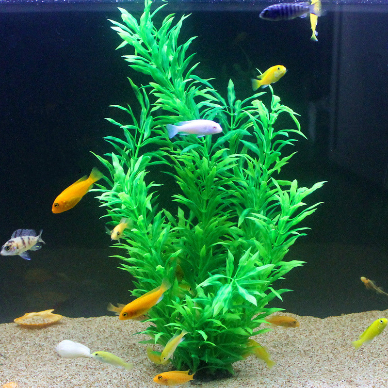 50 CM Yapay Balık Tankı Nadir  - Aquarium For Planted Tank incelemesi ve fiyatı